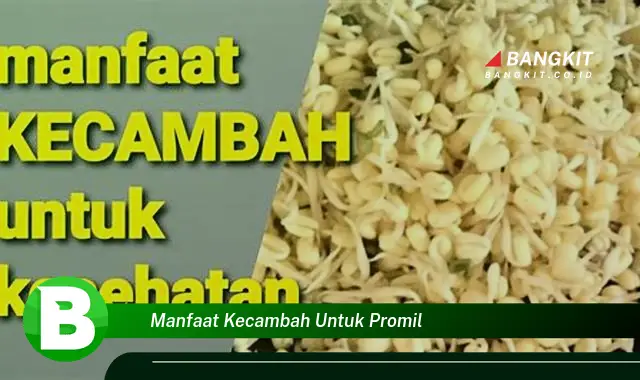 Ketahui Manfaat Kecambah untuk Program Hamil yang Bikin Kamu Penasaran