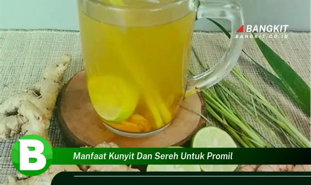 Intip Manfaat Kunyit dan Sereh untuk Promil yang Wajib Kamu Tahu!