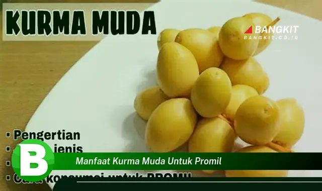 Ketahui Manfaat Kurma Muda untuk Promil yang Wajib Kamu Tau