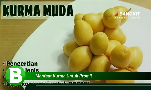 Ketahui Manfaat Kurma untuk Promil yang Bikin Kamu Penasaran