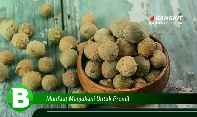 Ketahui Manfaat Manjakani untuk Promil yang Penting Kamu Ketahui