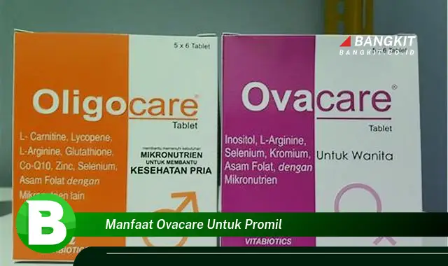 Temukan Manfaat Ovacare untuk Promil yang Bikin Kamu Penasaran