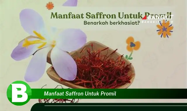 Intip Manfaat Saffron untuk Promil yang Bikin Kamu Penasaran