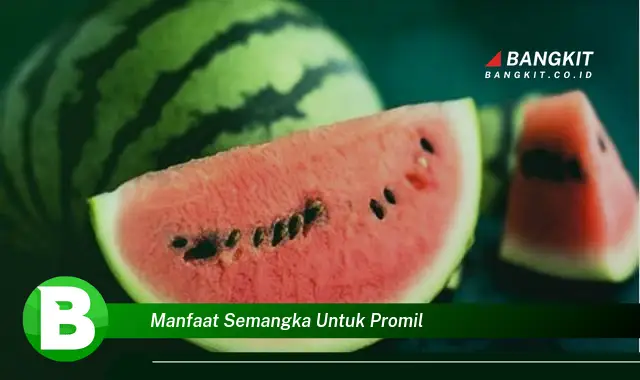 Ketahui Manfaat Semangka yang Wajib Kamu Tau untuk Promil