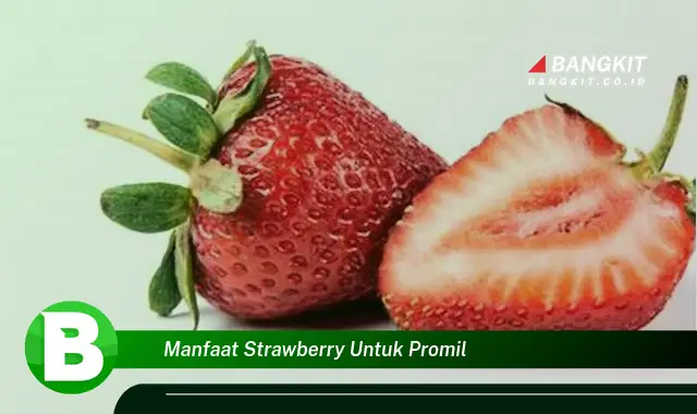 Ketahui Manfaat Strawberry untuk Promil yang Bikin Kamu Penasaran