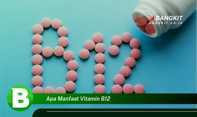 Ketahui Manfaat Vitamin B12 yang Bikin Kamu Penasaran