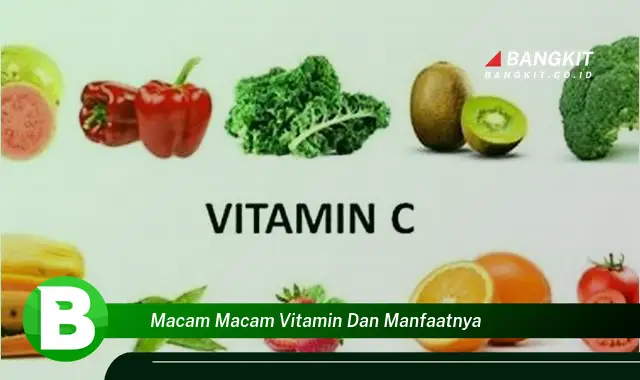 Temukan Berbagai Macam Vitamin dan Manfaatnya yang Bikin Kamu Penasaran