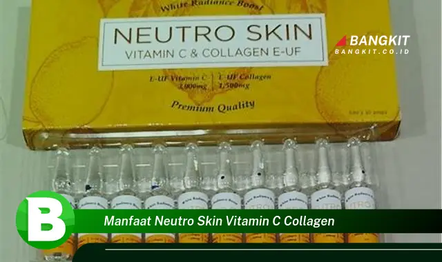 Ketahui Manfaat Neutro Skin Vitamin C Collagen yang Bikin Kamu Penasaran