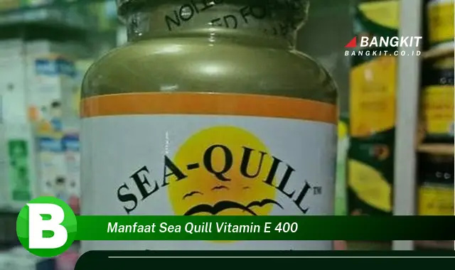 Temukan Manfaat Sea Quill Vitamin E 400 yang Wajib Kamu Tahu