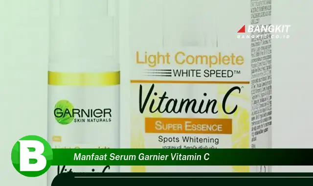 Ketahui Manfaat Serum Garnier Vitamin C yang Bikin Kamu Penasaran