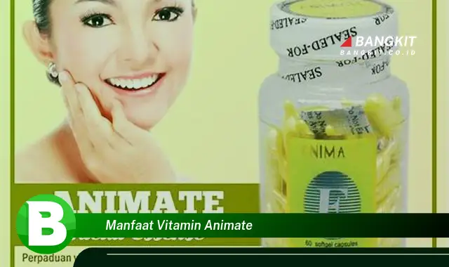 Temukan Manfaat Vitamin Animate yang Bikin Kamu Penasaran!