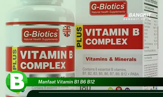 Temukan Manfaat Vitamin B1, B6, dan B12 yang Bikin Kamu Penasaran