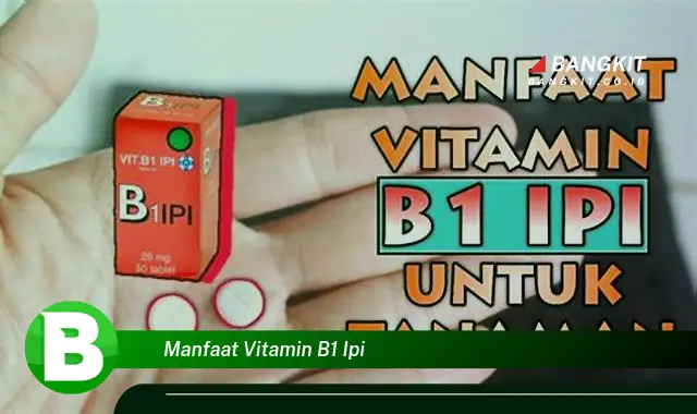 Intip Manfaat Vitamin B1 IPI yang Bikin Kamu Penasaran