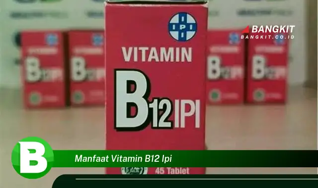 Temukan Manfaat Vitamin B12 yang Wajib Kamu Intip