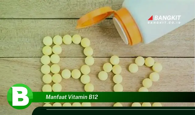 Temukan Manfaat Vitamin B12 yang Wajib Kamu Intip!