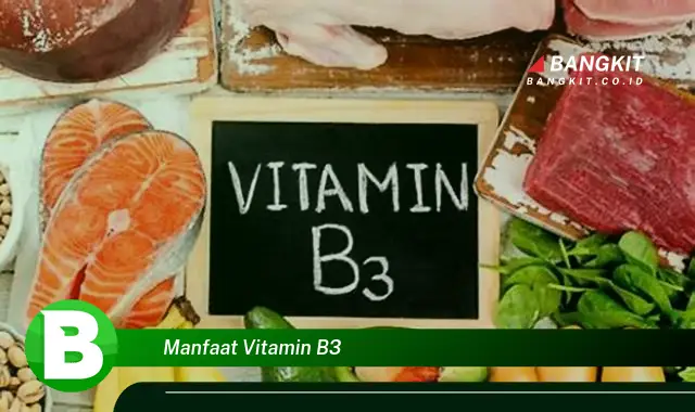 Intip Rahasia Manfaat Vitamin B3 yang Wajib Kamu Tau