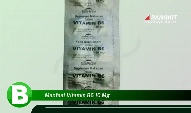 Ketahui Manfaat Vitamin B6 10 mg yang Wajib Kamu Tau