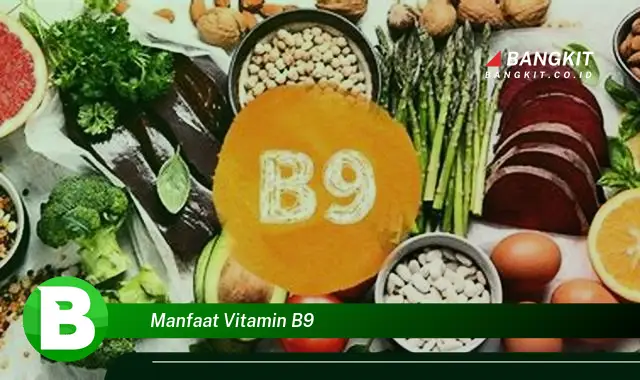 Temukan Manfaat Vitamin B9 yang Wajib Kamu Intip