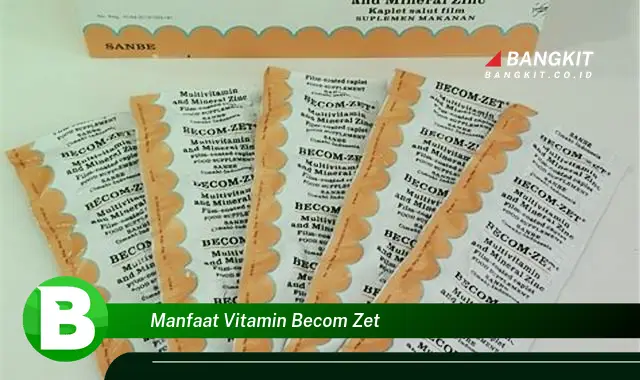 Intip Manfaat Vitamin Becom Zet yang Bikin Kamu Penasaran