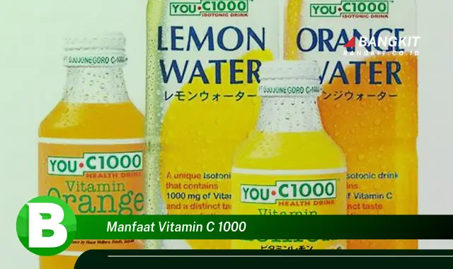 Ketahui Manfaat Vitamin C 1000 yang Bikin Kamu Penasaran