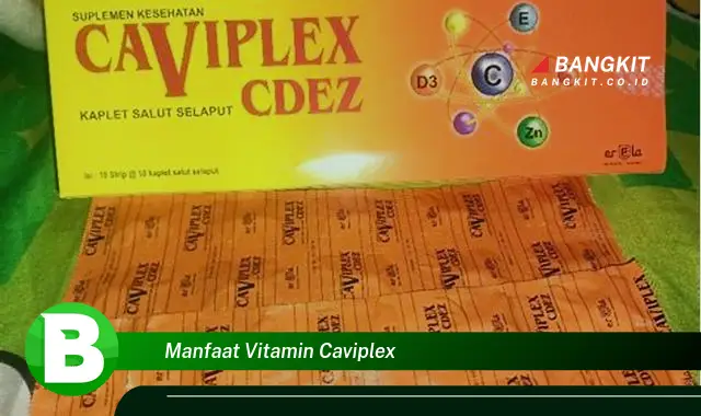 Temukan Manfaat Vitamin Caviplex yang Bikin Kamu Penasaran