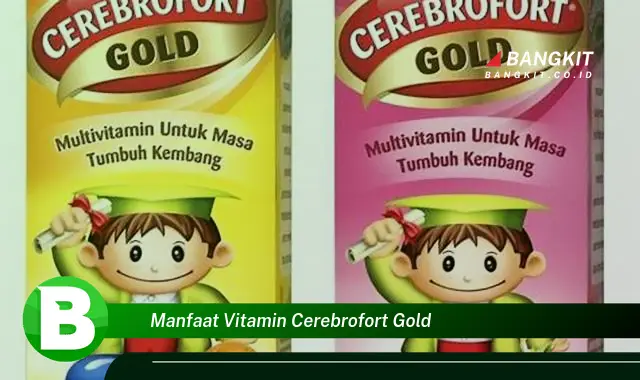 Intip Manfaat Vitamin Cerebrofort Gold yang Wajib Kamu Ketahui