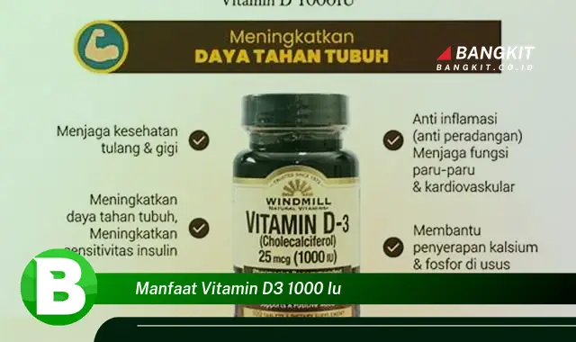 Intip Manfaat Vitamin D3 1000 IU yang Wajib Kamu Tahu