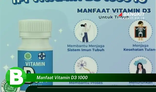 Temukan Manfaat Vitamin D3 1000 yang Bikin Kamu Penasaran