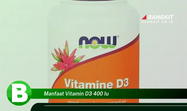 Ketahui Manfaat Vitamin D3 400 IU yang Bikin Kamu Penasaran