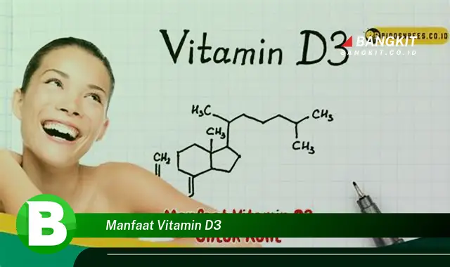 Temukan Manfaat Vitamin D3 yang Bikin Kamu Penasaran