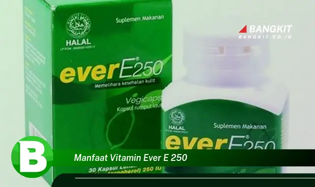 Intip Manfaat Vitamin E yang Wajib Kamu Tau