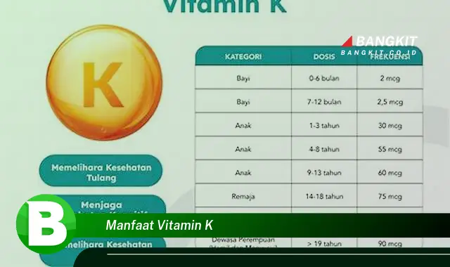 Ketahui Manfaat Vitamin K yang Bikin Kamu Penasaran