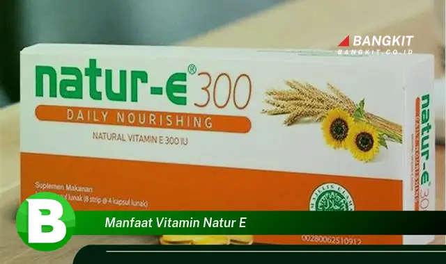 Temukan Manfaat Vitamin E yang Wajib Kamu Intip