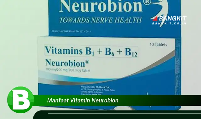 Temukan Manfaat Vitamin Neurobion yang Bikin Kamu Penasaran