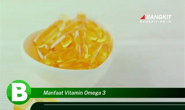 Intip Manfaat Vitamin Omega 3 yang Wajib Kamu Ketahui