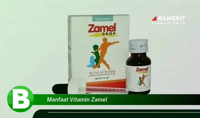 Temukan Manfaat Vitamin Zamel yang Bisa Bikin Kamu Penasaran