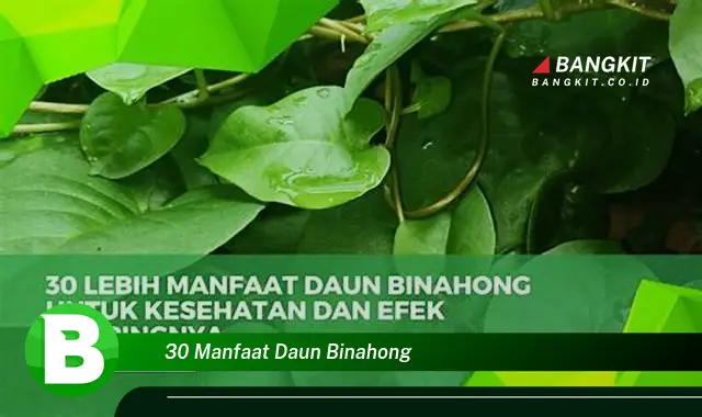 Temukan 30 Khasiat Daun Binahong yang Wajib Kamu Intip