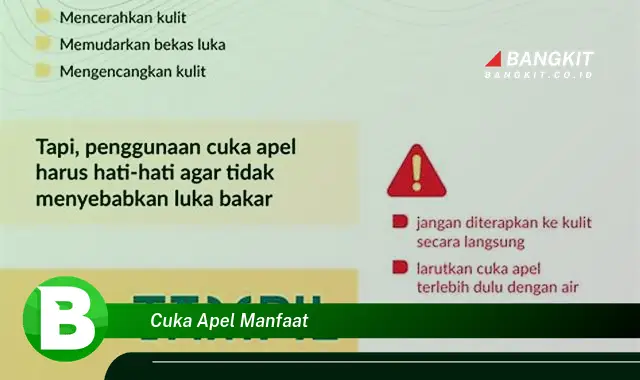 Temukan Manfaat Cuka Apel yang Bikin Kamu Penasaran