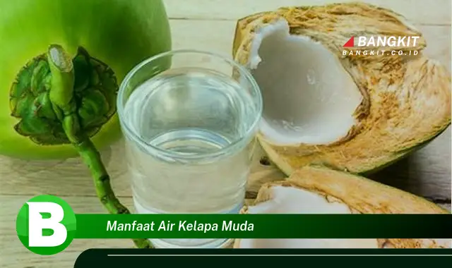 Intip Manfaat Air Kelapa Muda yang Bikin Kamu Penasaran