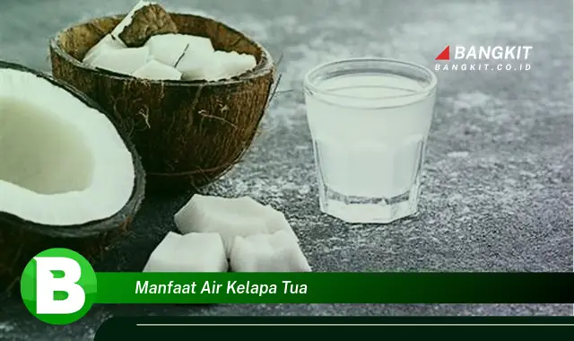 Intip Manfaat Air Kelapa Tua yang Wajib Kamu Tau