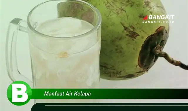 Ketahui Manfaat Air Kelapa yang Wajib Kamu Intip