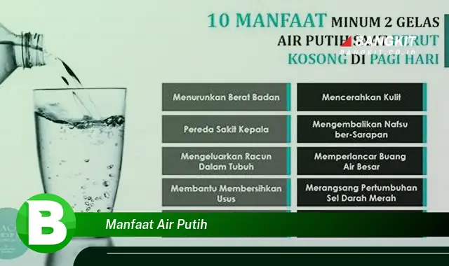 Temukan Manfaat Air Putih yang Wajib Kamu Intip