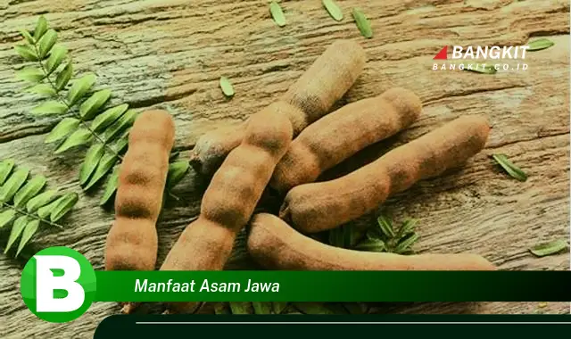 Intip Manfaat Asam Jawa yang Bikin Kamu Penasaran