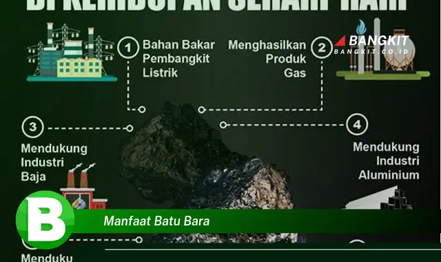 Intip Manfaat Batu Bara yang Bikin Kamu Penasaran