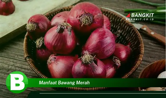 Intip Manfaat Bawang Merah yang Bikin Kamu Penasaran!