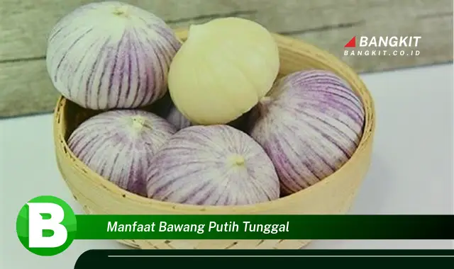 Temukan Manfaat Bawang Putih Tunggal yang Wajib Kamu Tau