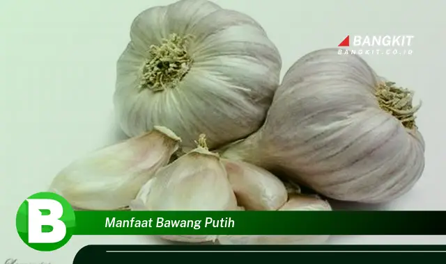 Intip Manfaat Bawang Putih yang Wajib Kamu Ketahui