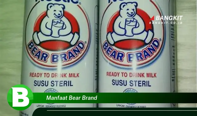 Ketahui Manfaat Bear Brand yang Bikin Kamu Penasaran