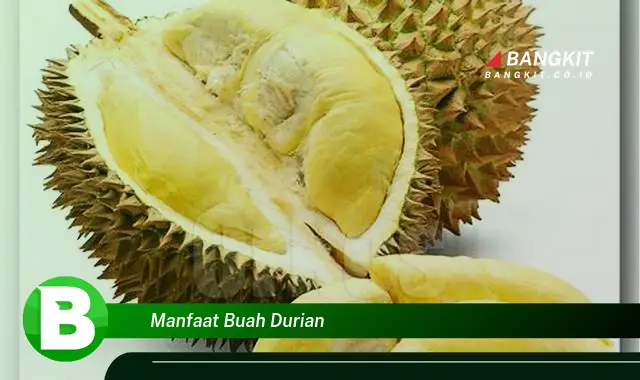 Temukan Manfaat Buah Durian yang Wajib Kamu Tahu