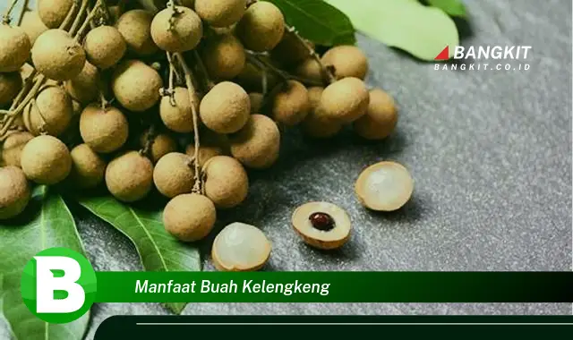 Intip Manfaat Buah Kelengkeng yang Bikin Kamu Penasaran